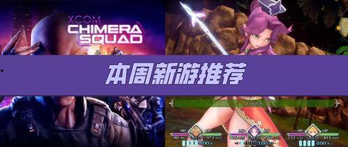 没有标题的爆料视频,幕后真相令人震惊